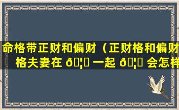 命格带正财和偏财（正财格和偏财格夫妻在 🦅 一起 🦟 会怎样）